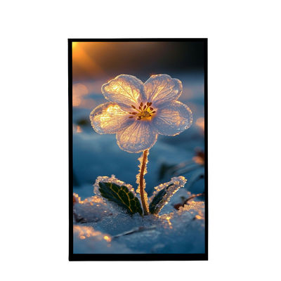 kupować 10.1 cali ekran obrazu IPS 800x1280 rozdzielczość Tft wyświetlacz lcd dla samochodu online manufacture